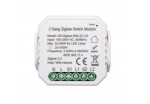 Akubela 2 Gang Zigbee Switch Module (EU version)